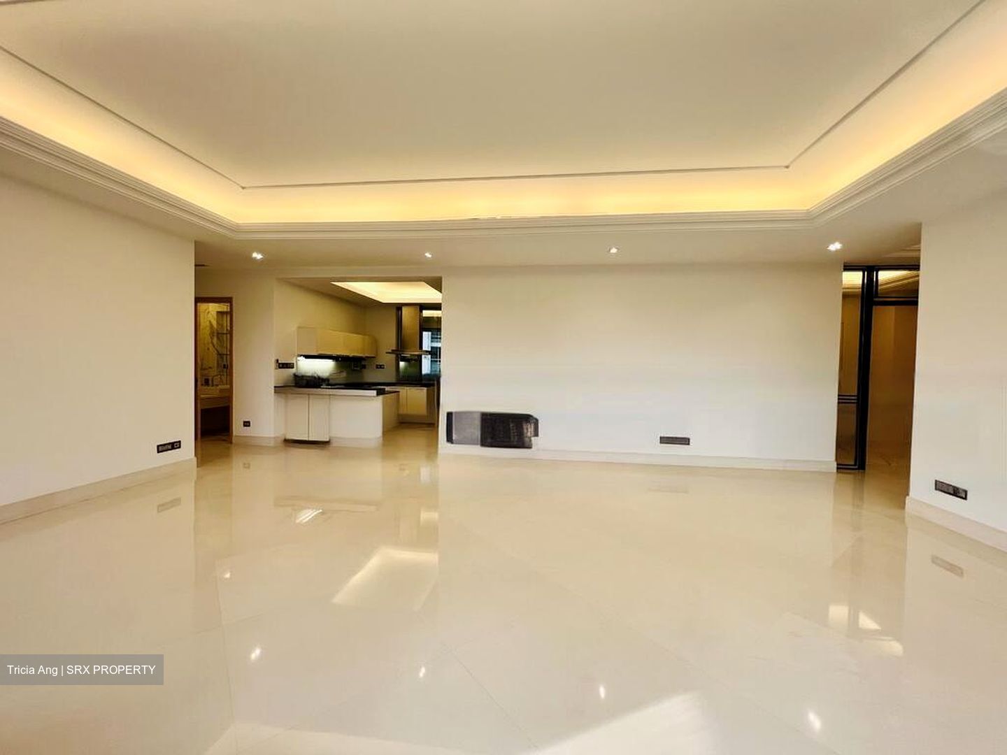 Parkview Eclat (D10), Condominium #468365581